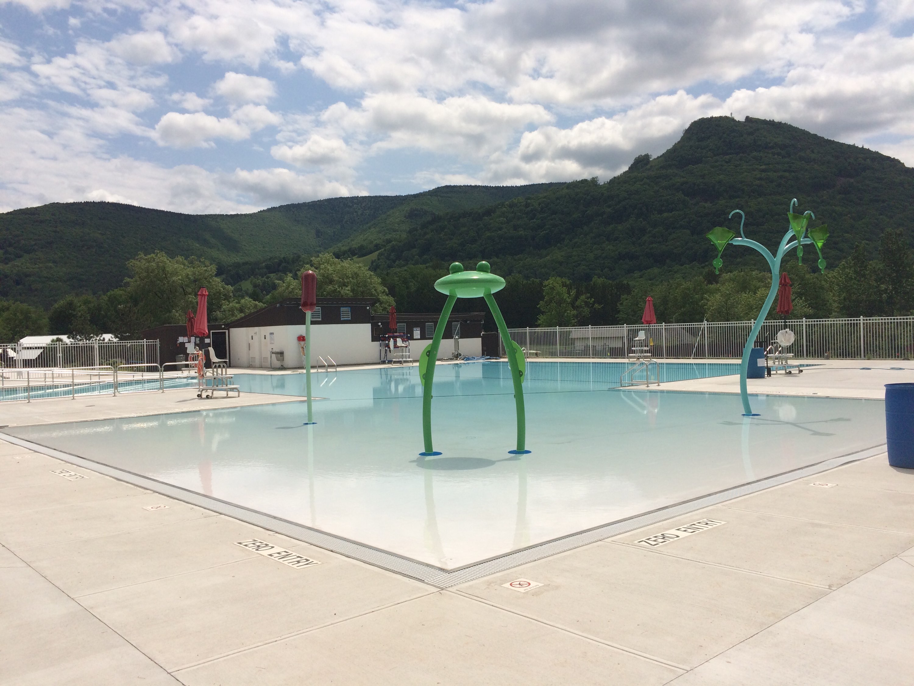 Camp Loyaltown Pool Renovations